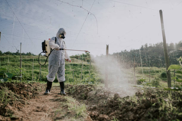 Best Ant Control Services  in Tehaleh, WA