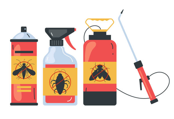 Wasp Removal Services in Tehaleh, WA