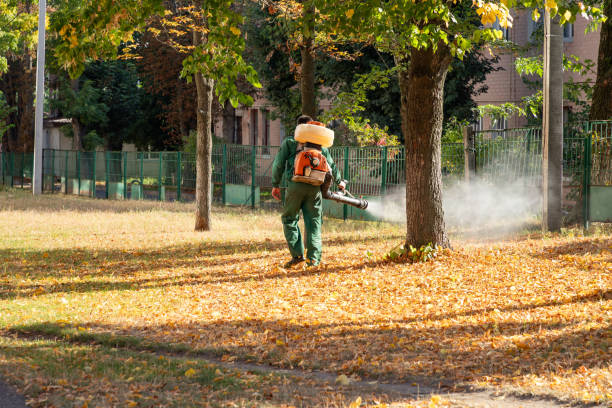Best Bed Bug Extermination  in Tehaleh, WA